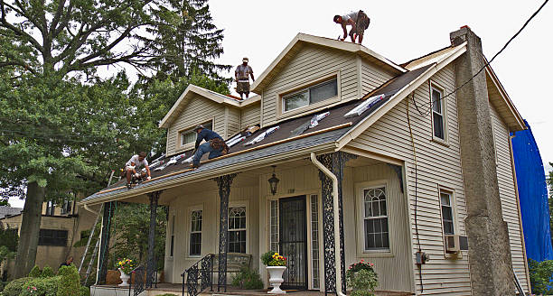 Best Flat Roof Repair Services  in Roxboro, NC
